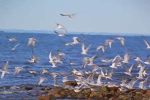 Taking off